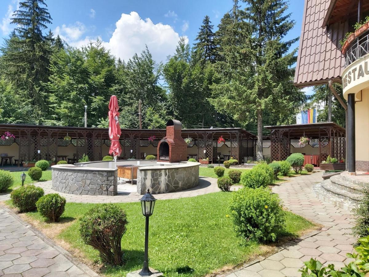 Hotel Ruia Poiana Braşov Dış mekan fotoğraf