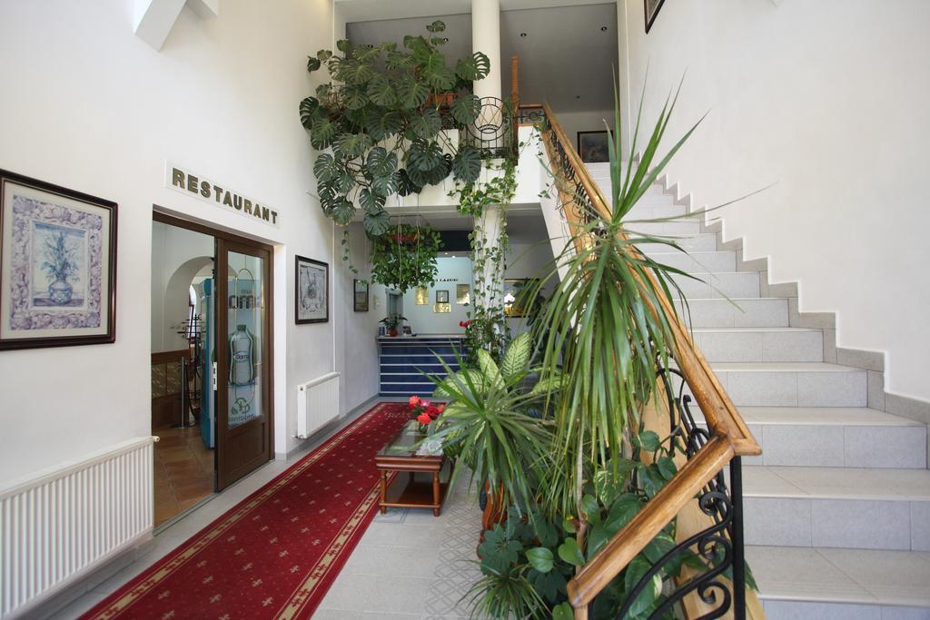 Hotel Ruia Poiana Braşov Dış mekan fotoğraf