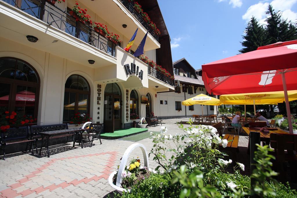 Hotel Ruia Poiana Braşov Dış mekan fotoğraf