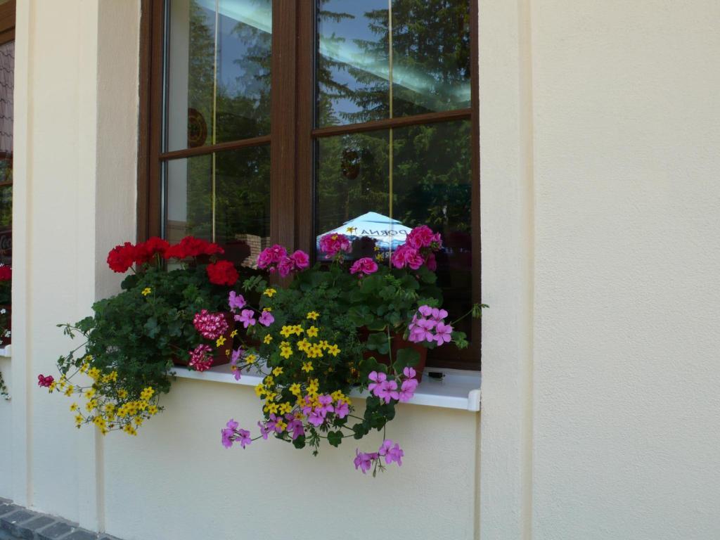 Hotel Ruia Poiana Braşov Dış mekan fotoğraf